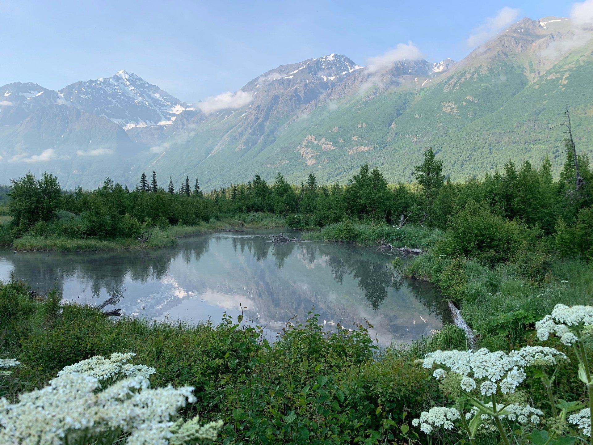 Mountain lake with mist, evergreen trees, and wildflowers under snow-dusted peaks.