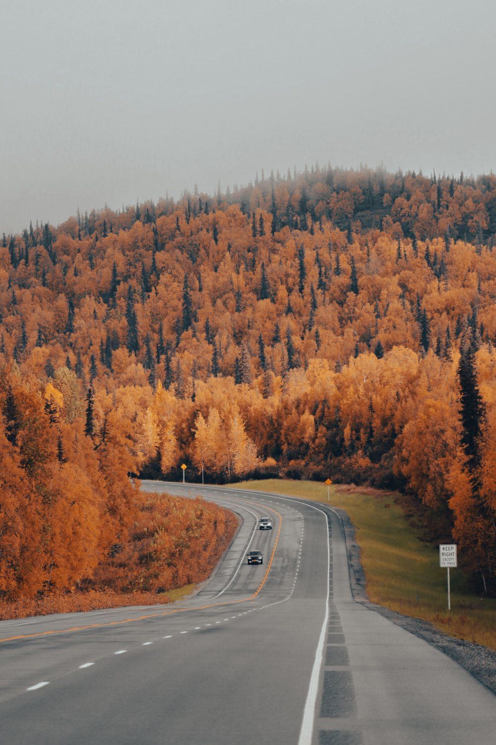 Winding road through orange autumn forest beneath a gray sky