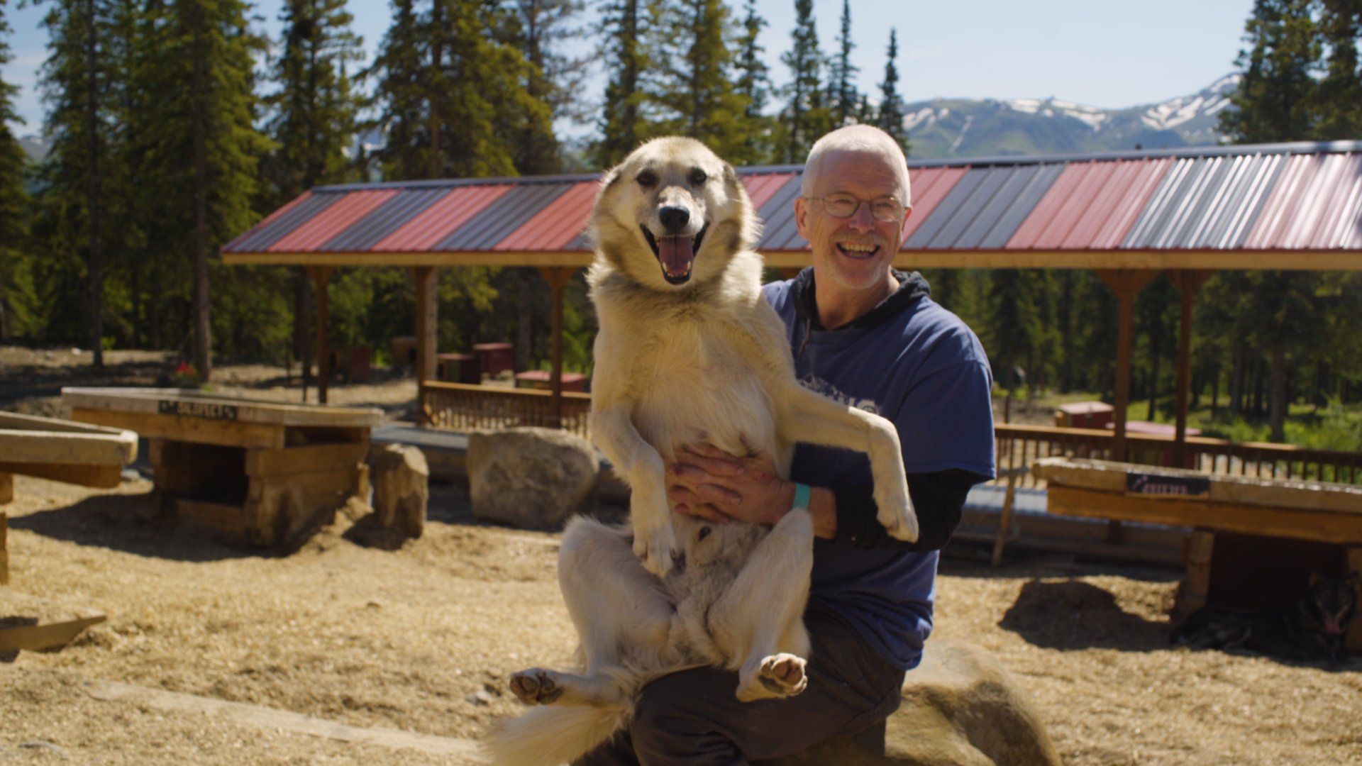 Person holding a large dog outdoors in a sunny mountain picnic area