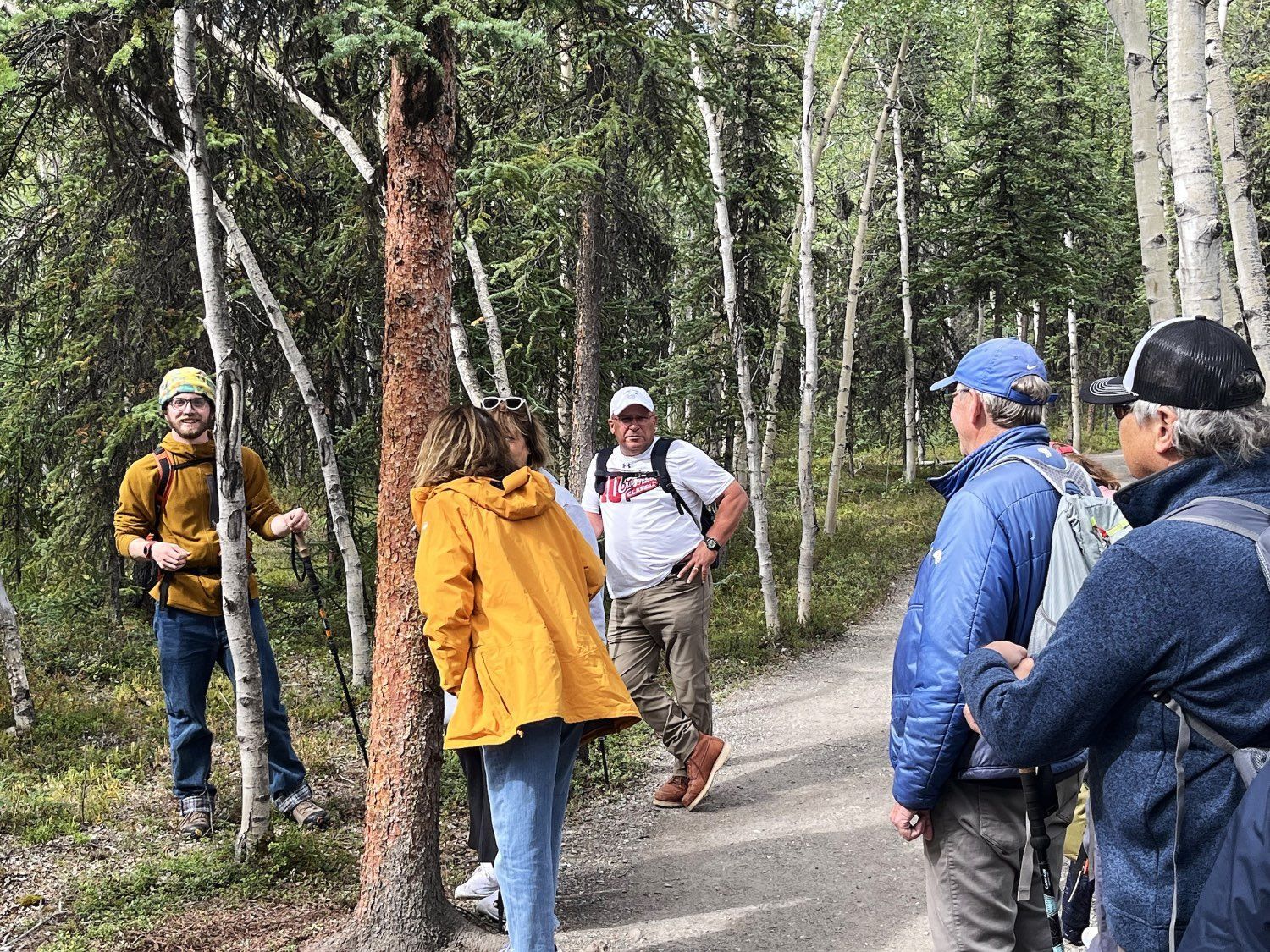 Hikers pause on a forest trail, with one in a yellow jacket facing a tree and others standing nearby.