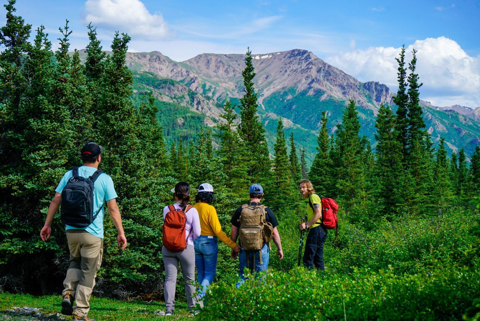 Hikers with backpacks walk a forest trail toward mountain peaks under a blue sky.