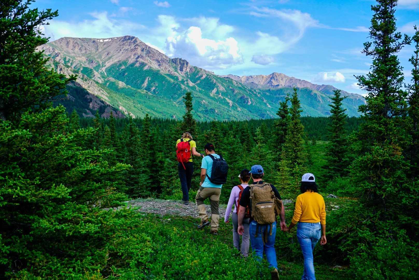Hikers walking on a forest trail with mountains and blue sky in the background