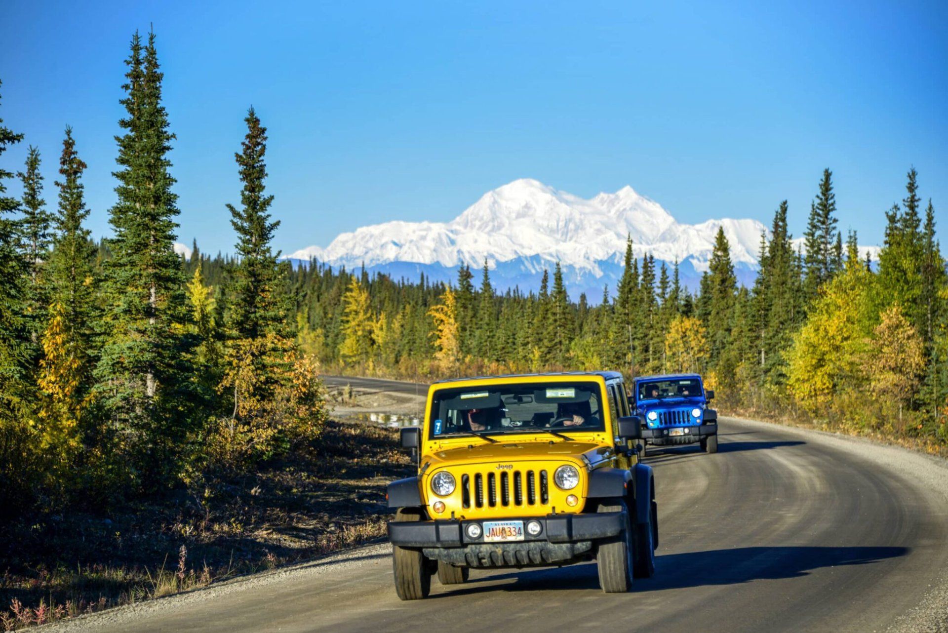 Yellow Jeep and blue SUV driving on a forest road with snow-capped mountains in the background