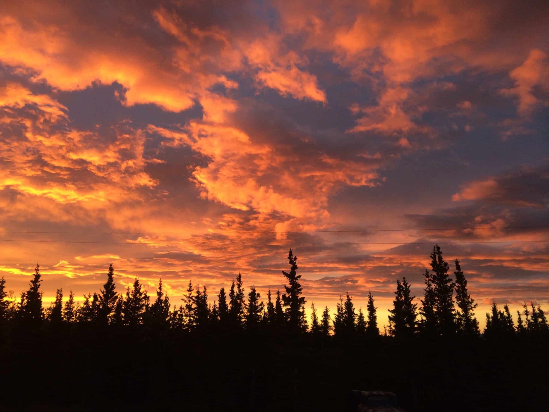 Silhouetted pine trees under a vivid orange and purple sunset sky with dramatic clouds