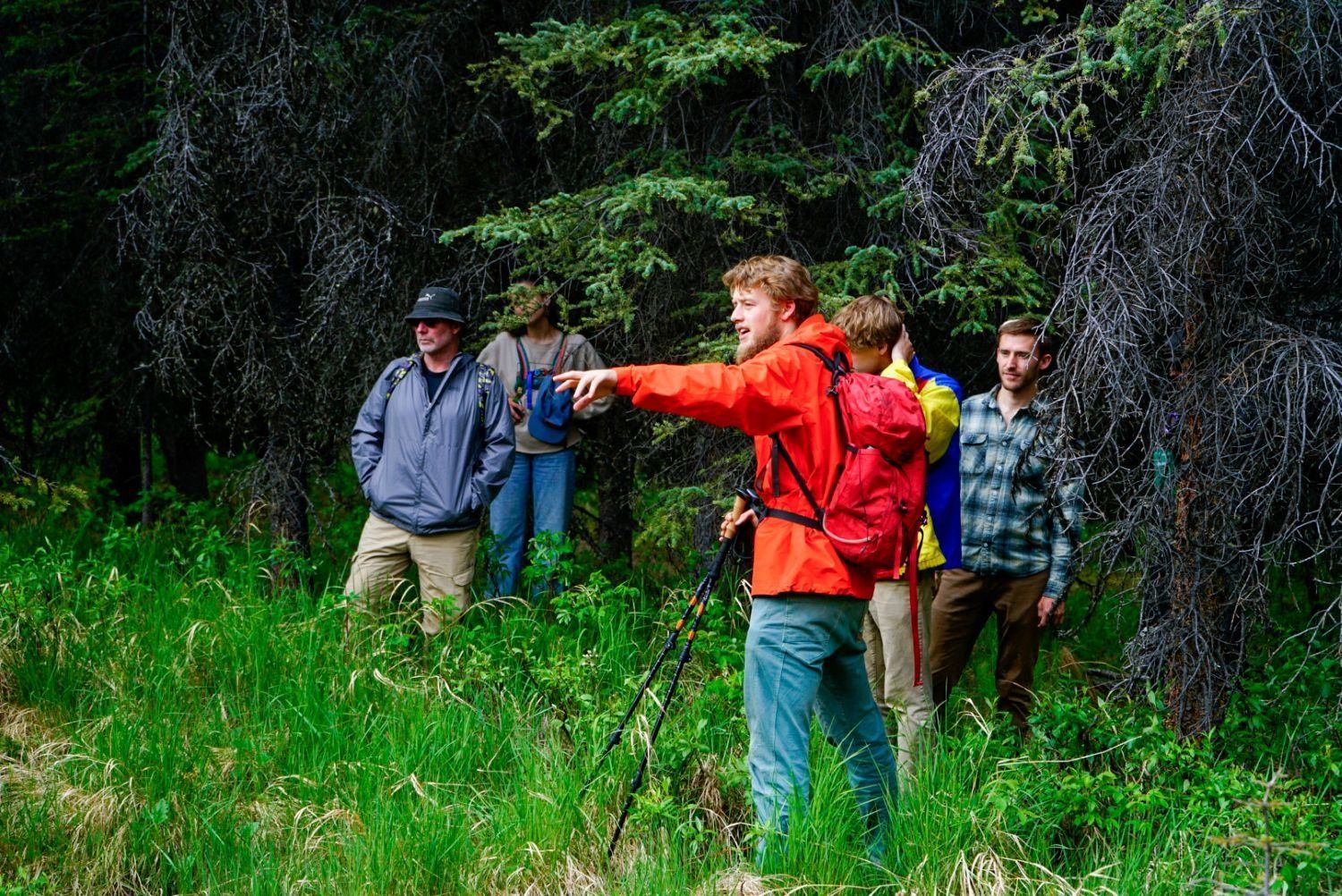 Group of hikers in colorful jackets walking through tall grass in a dense green forest