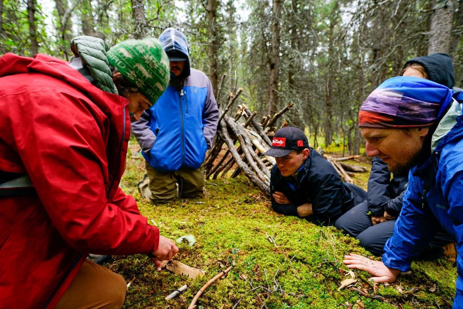 Four hikers in colorful jackets crouch over moss on a forest floor, examining something outdoors.