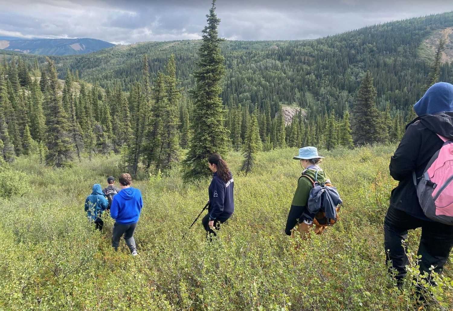 Group of hikers walking through a grassy mountain meadow with forested hills in the background