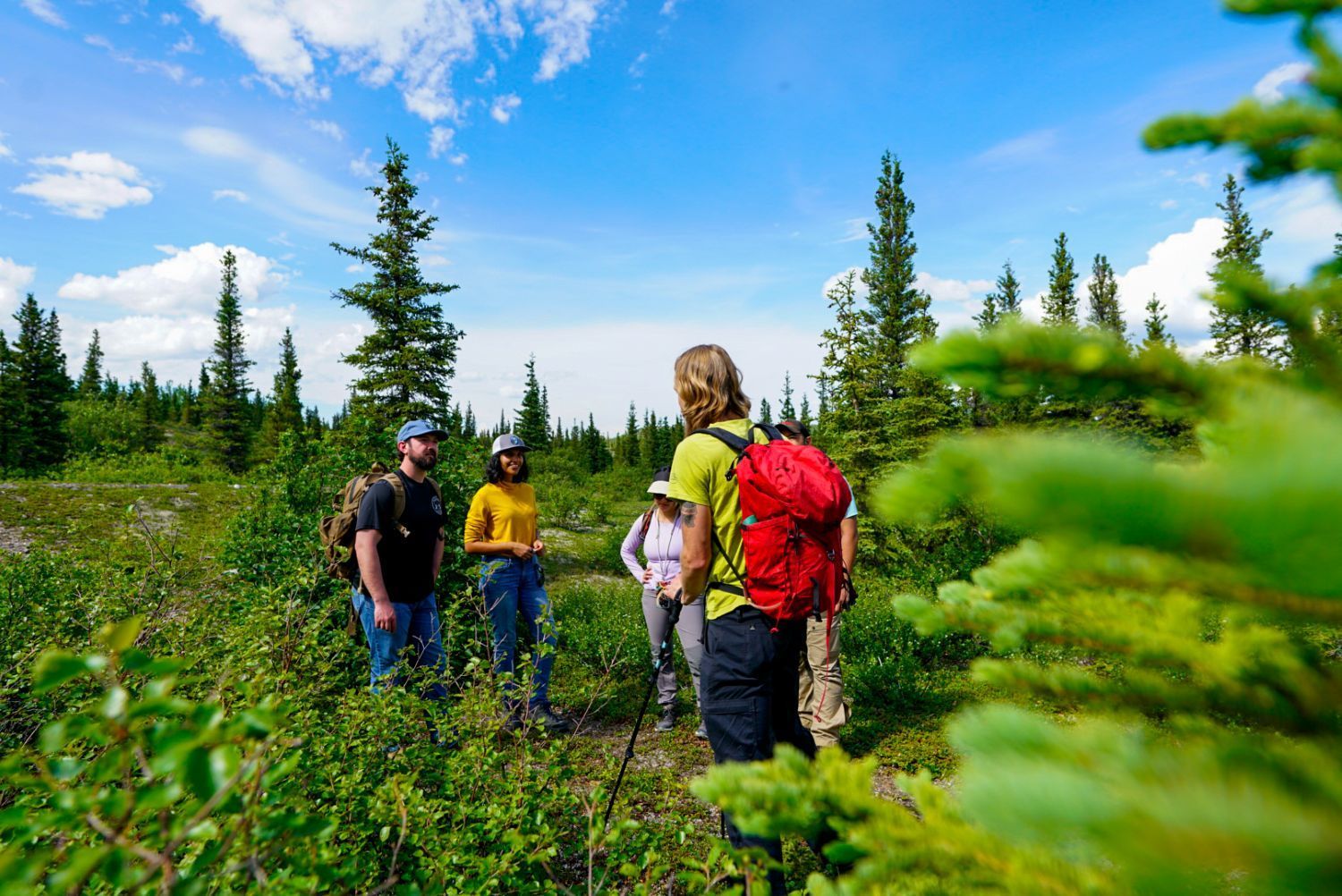 Hikers standing in a lush green meadow with pine trees under a bright blue sky