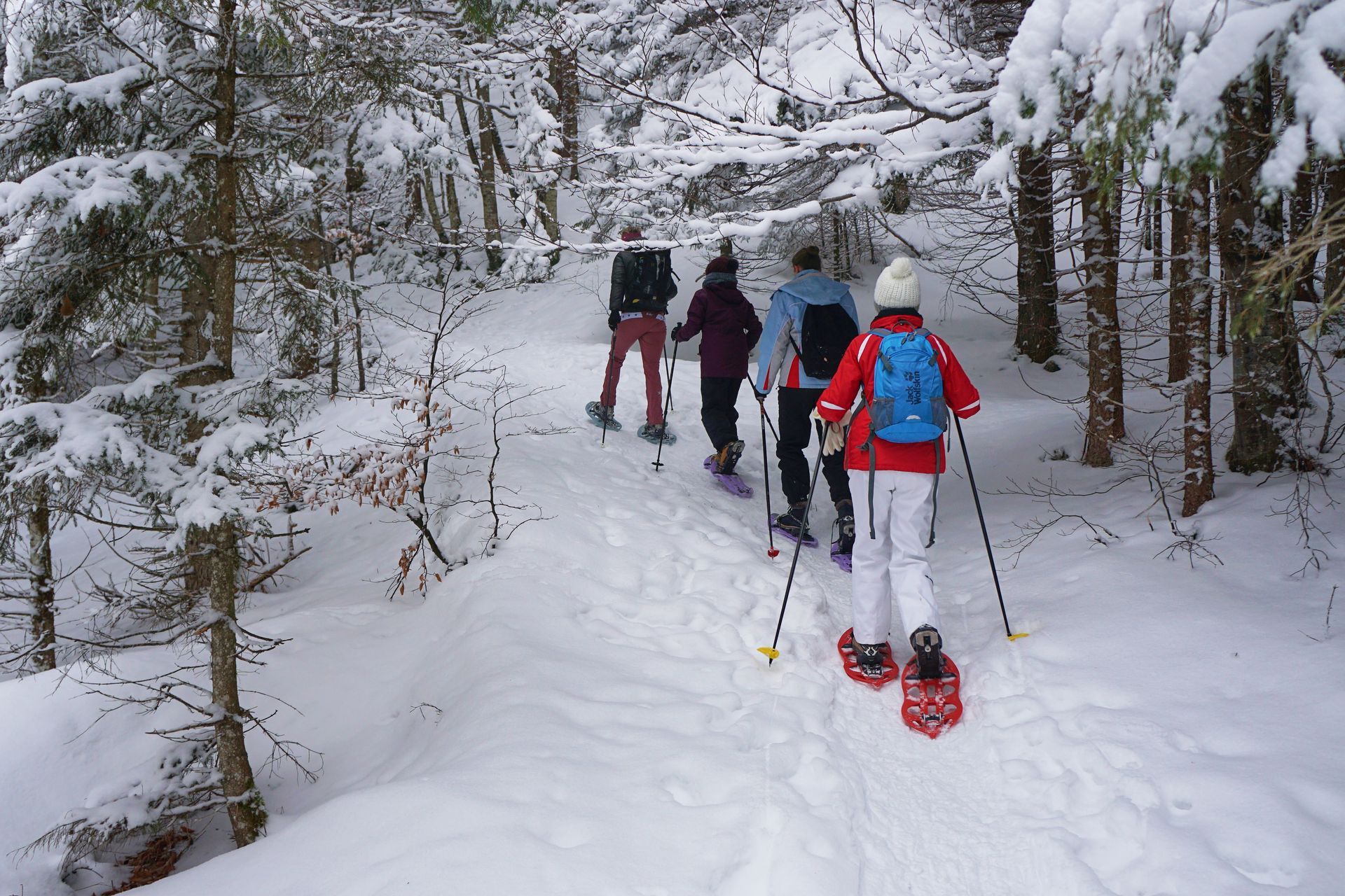 Four skiers hiking up a snowy forest trail in winter, wearing backpacks and snowshoes.