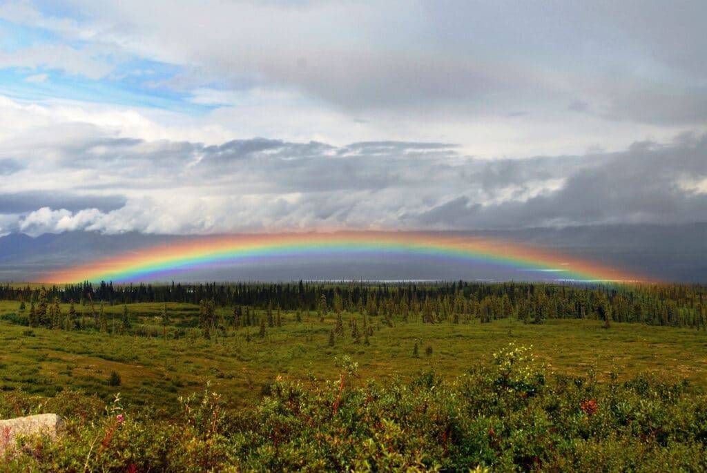 Rainbow over a green meadow and forest beneath cloudy sky