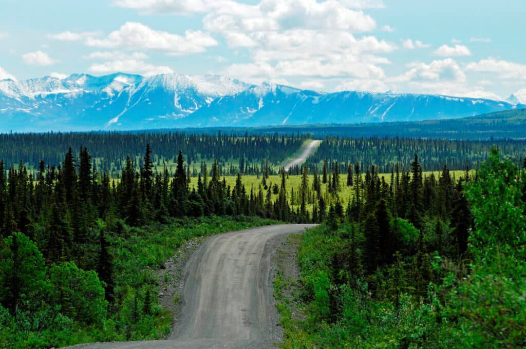 Winding dirt road through green forest toward distant snow-capped mountains under a blue sky