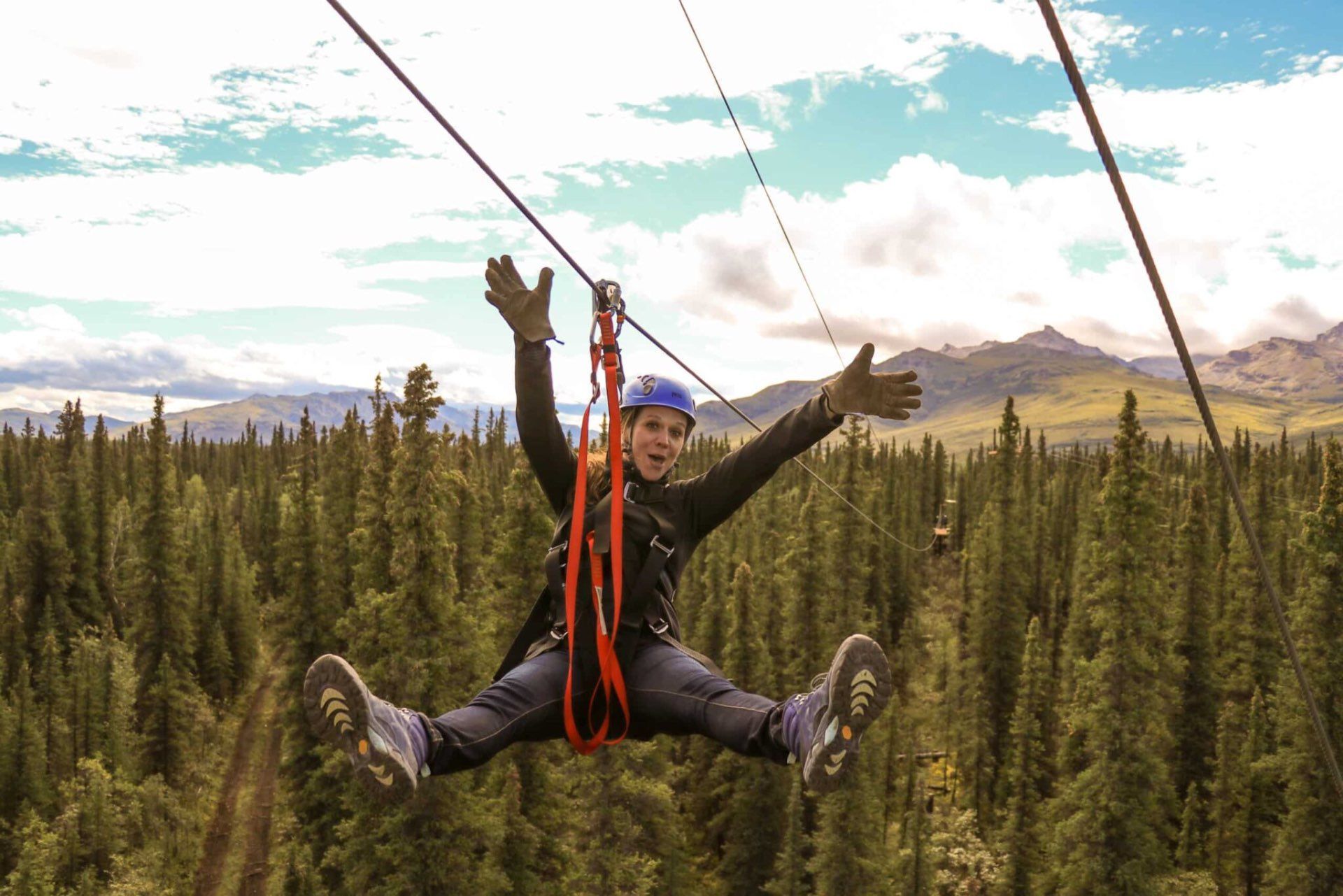 Guest riding a zipline through the boreal forest near Denali