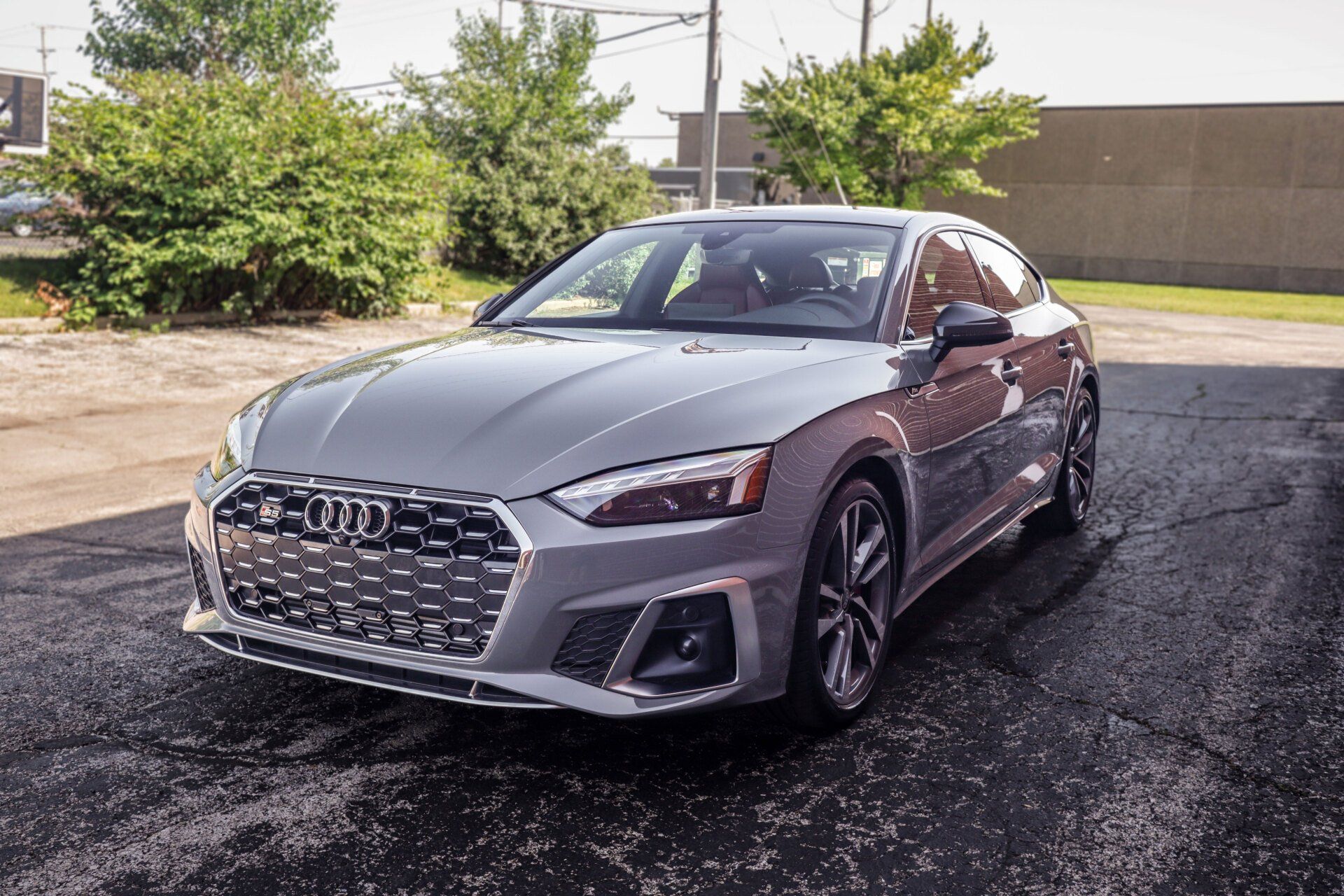 Paint Protection Film Services