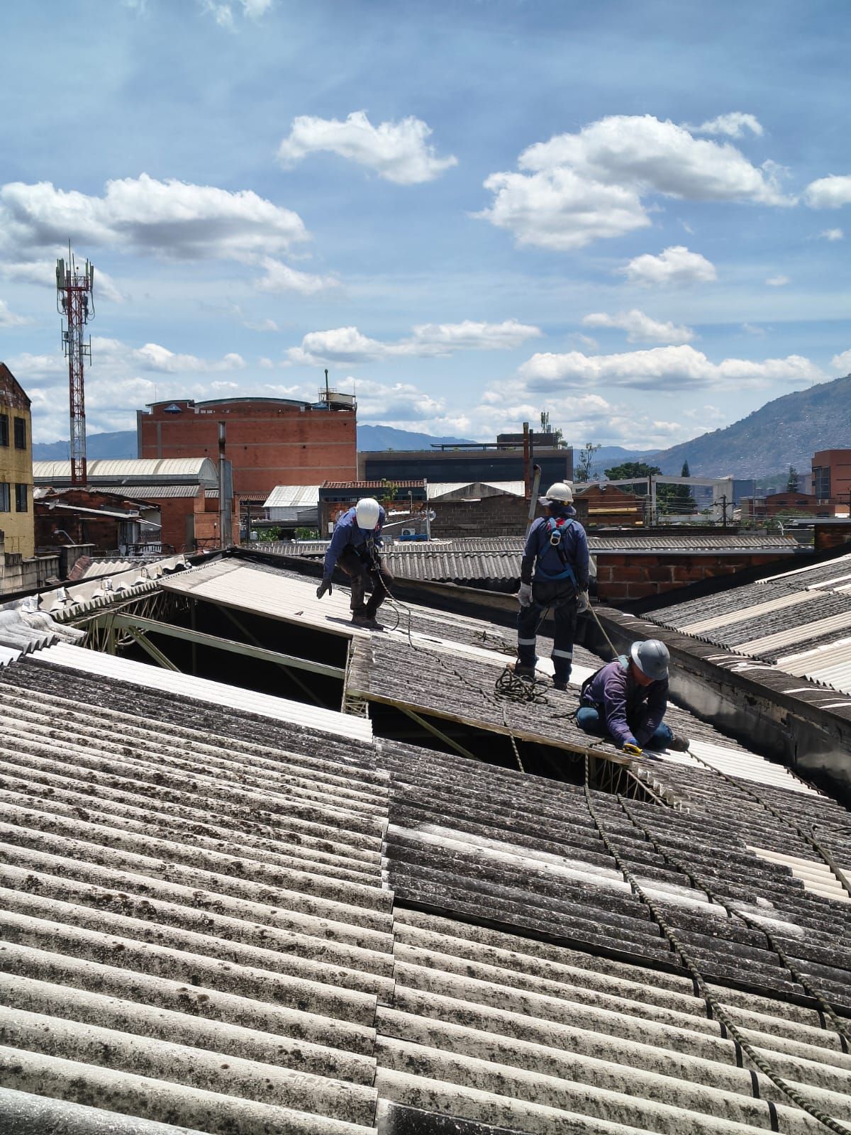 Trabajadores aplicando una capa de pintura negra a un tejado plano.