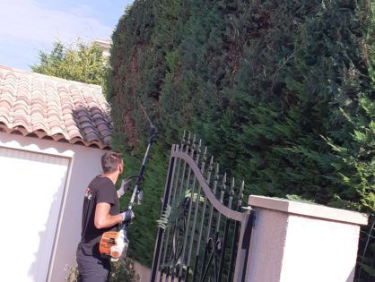 taillage de haie