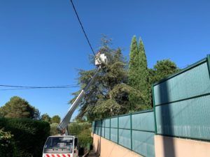Mis en sécurité arbre
