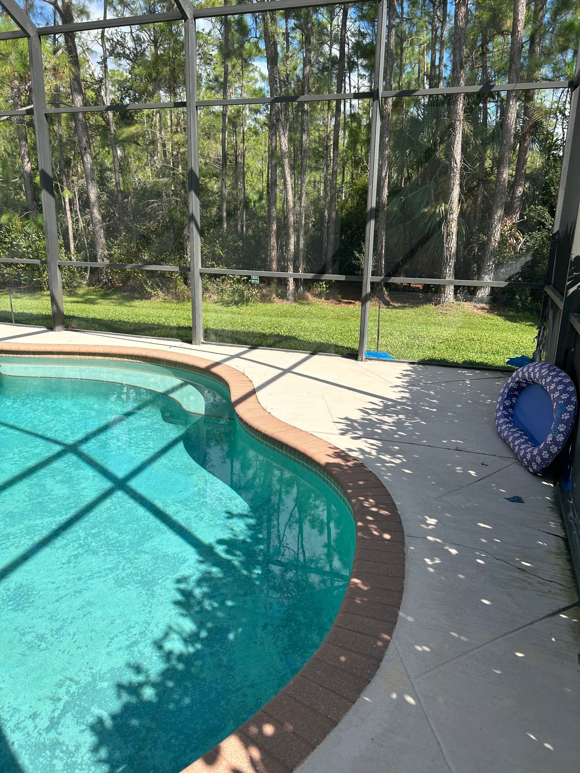 Curved backyard pool with turquoise water beside a screened patio and a blue chair on the deck