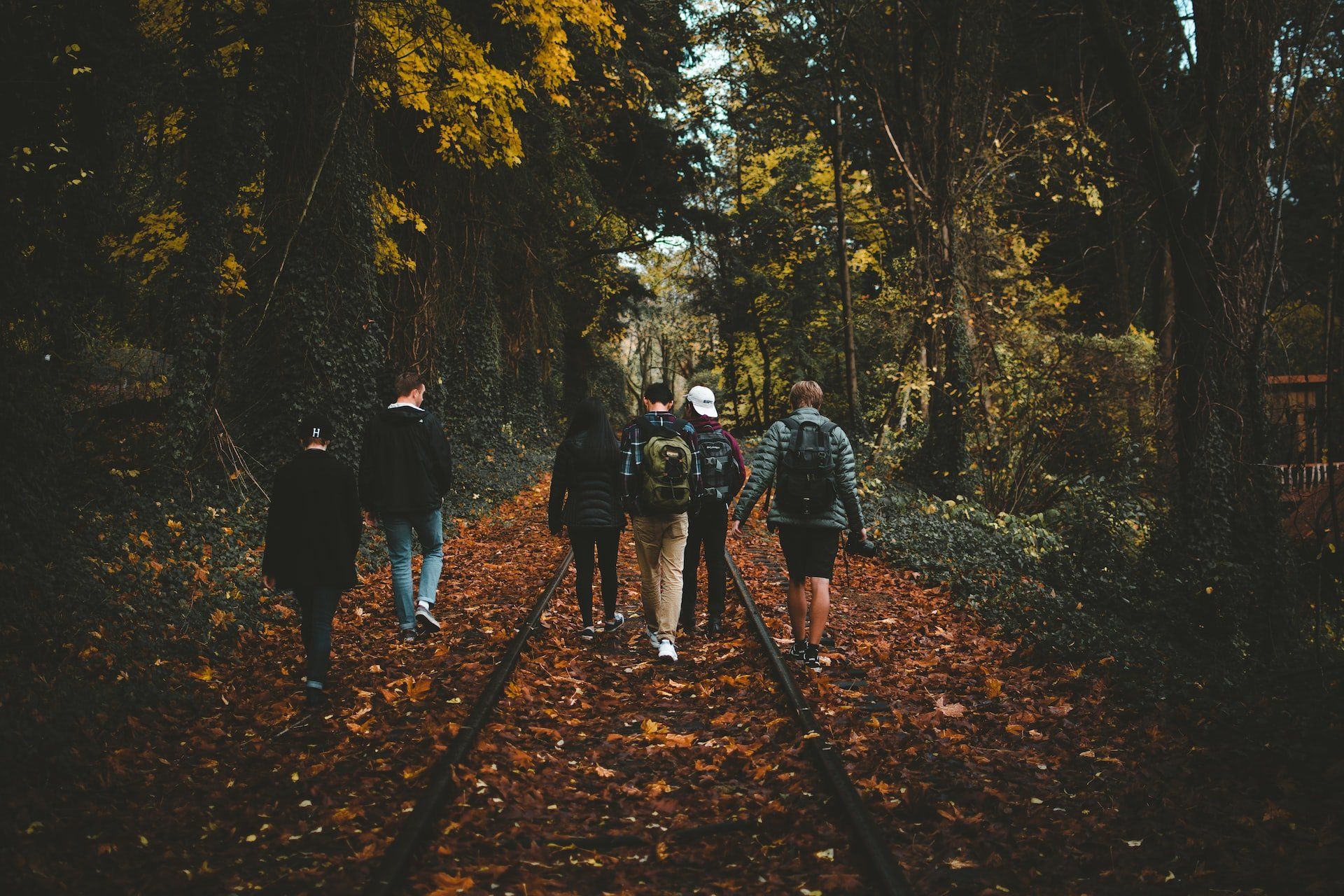 Eine Gruppe von Menschen geht einen Waldweg entlang.