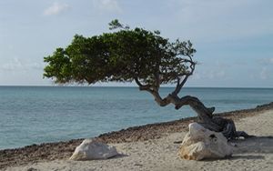 Southern Caribbean Ports of Call