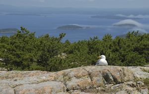 Eastern Canada & New England Ports of Call
