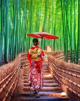 woman in kimono with parasol in bamboo forest in Japan