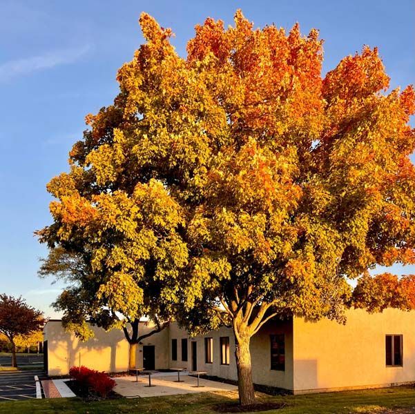 Exterior and interior photos of Hultgren Funeral Home and Cremation Center Carol Stream Location