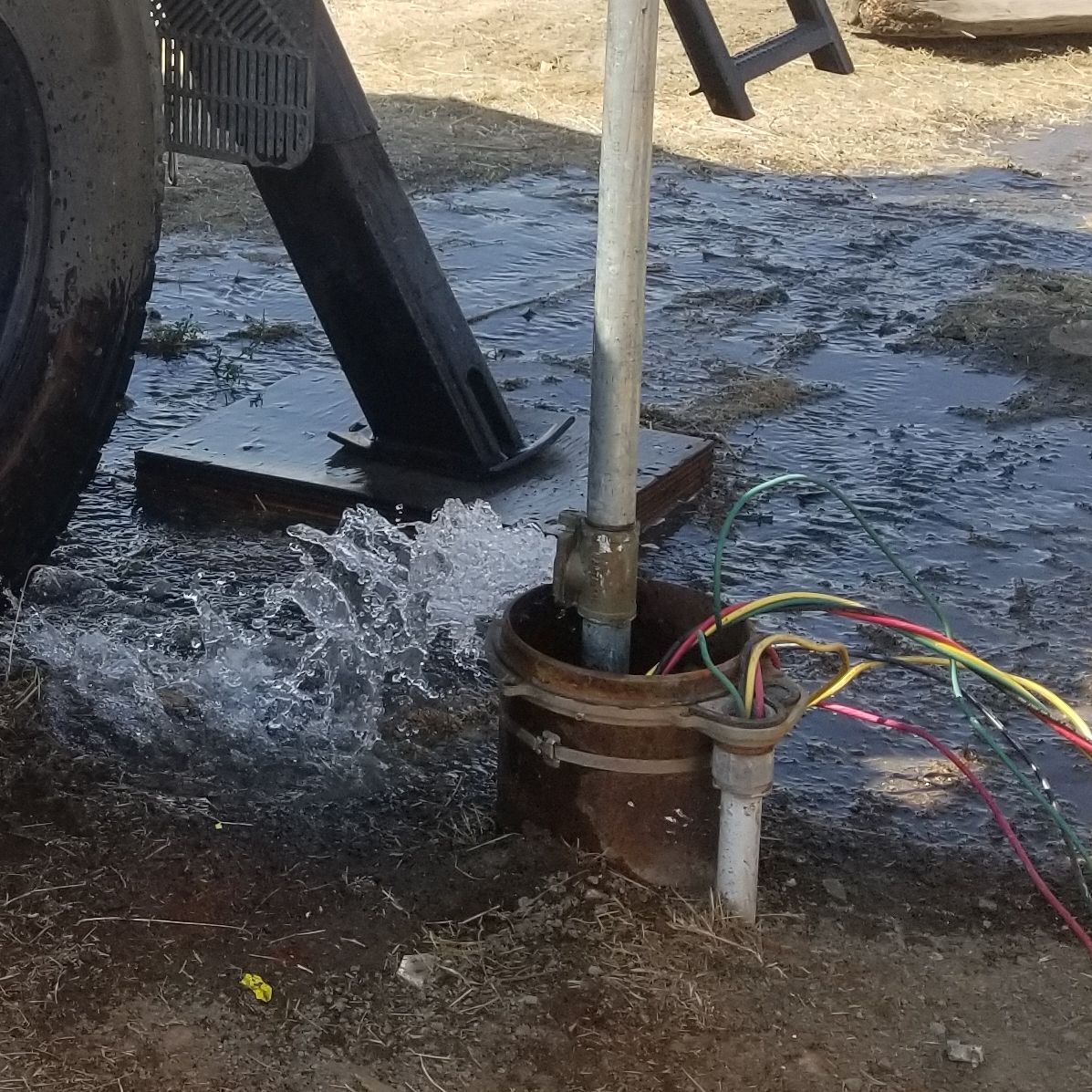 A bucket of water is being poured into a hole in the ground