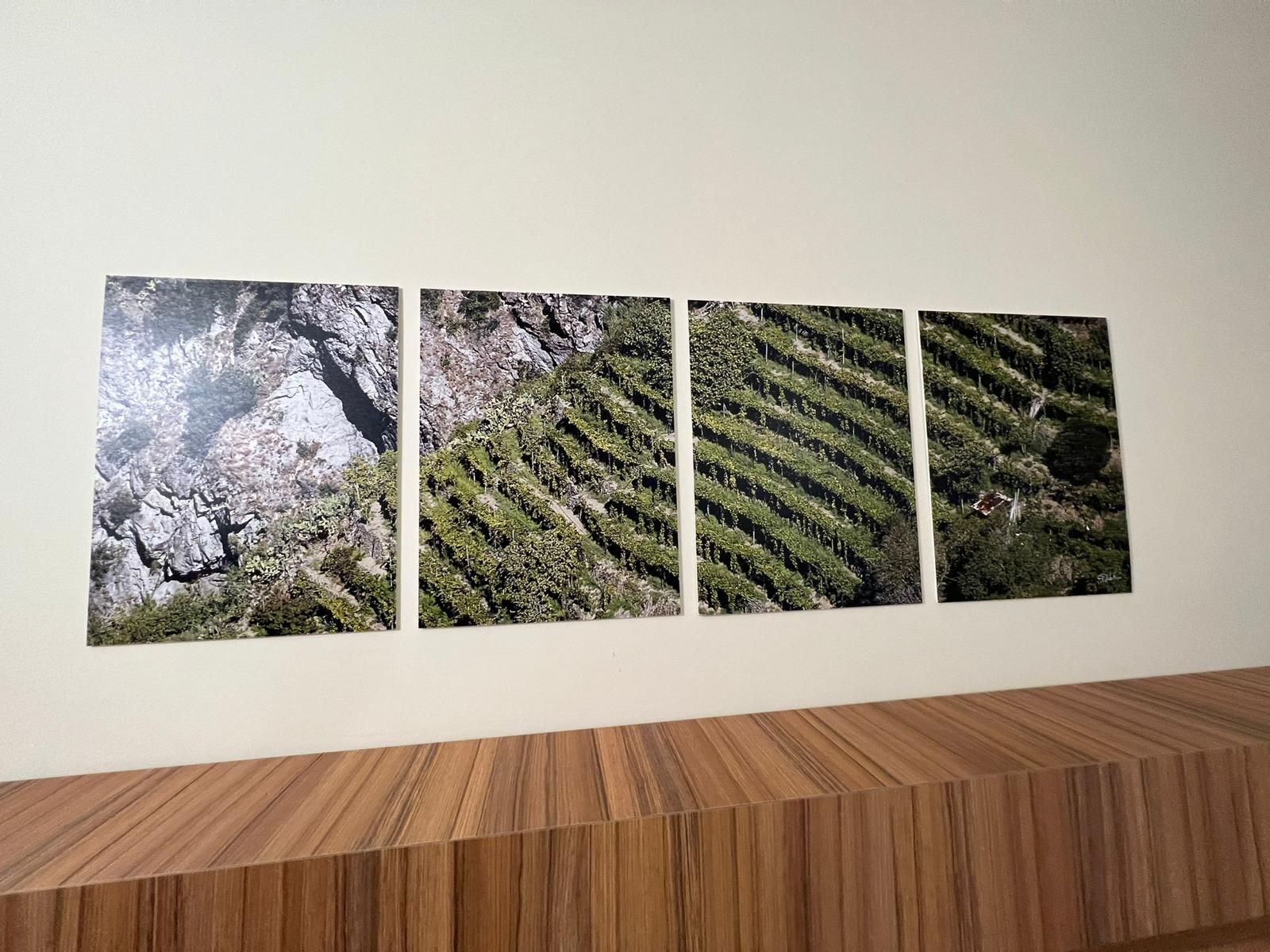 quadri decoro