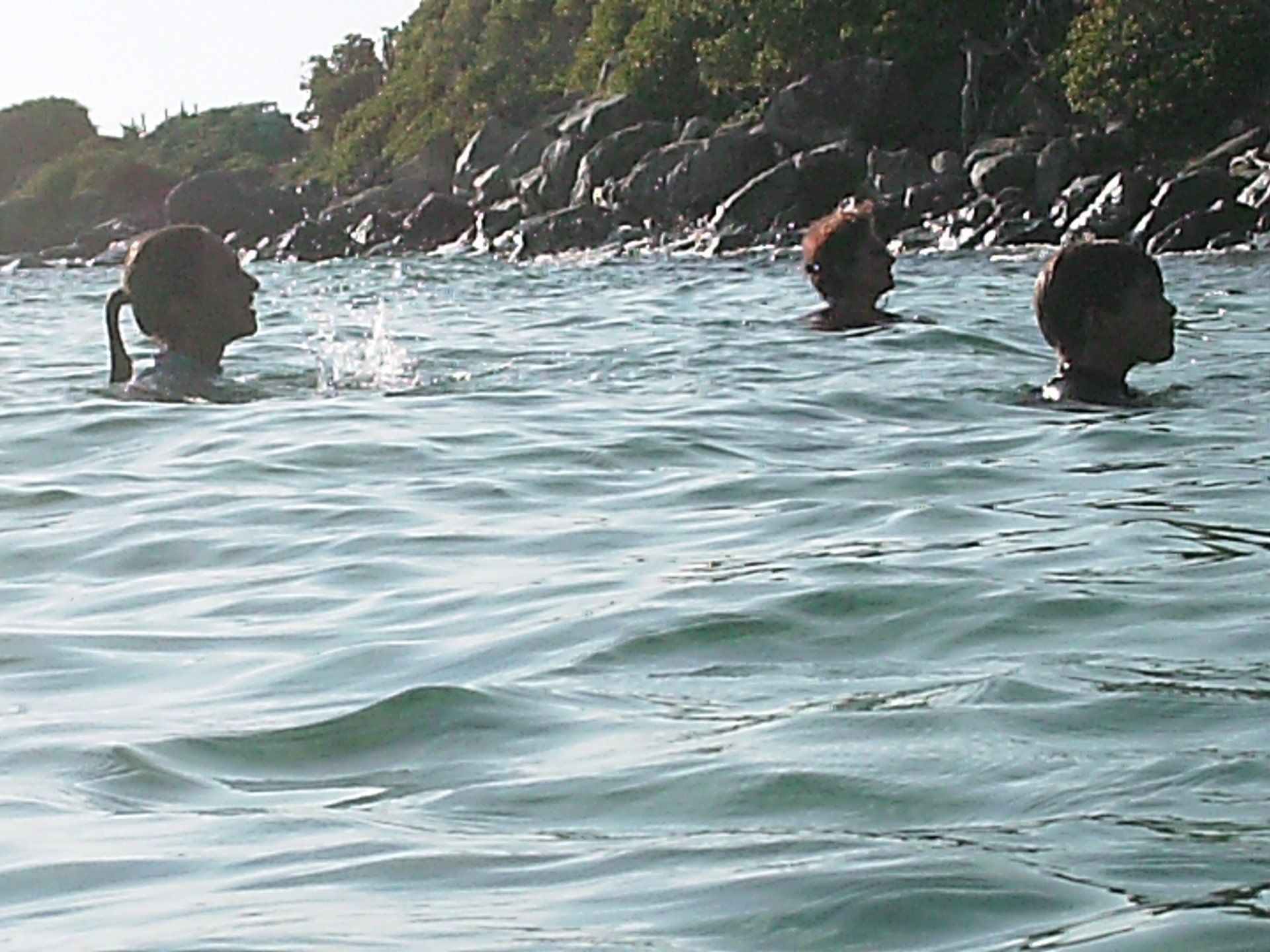 A group of people are swimming in the ocean