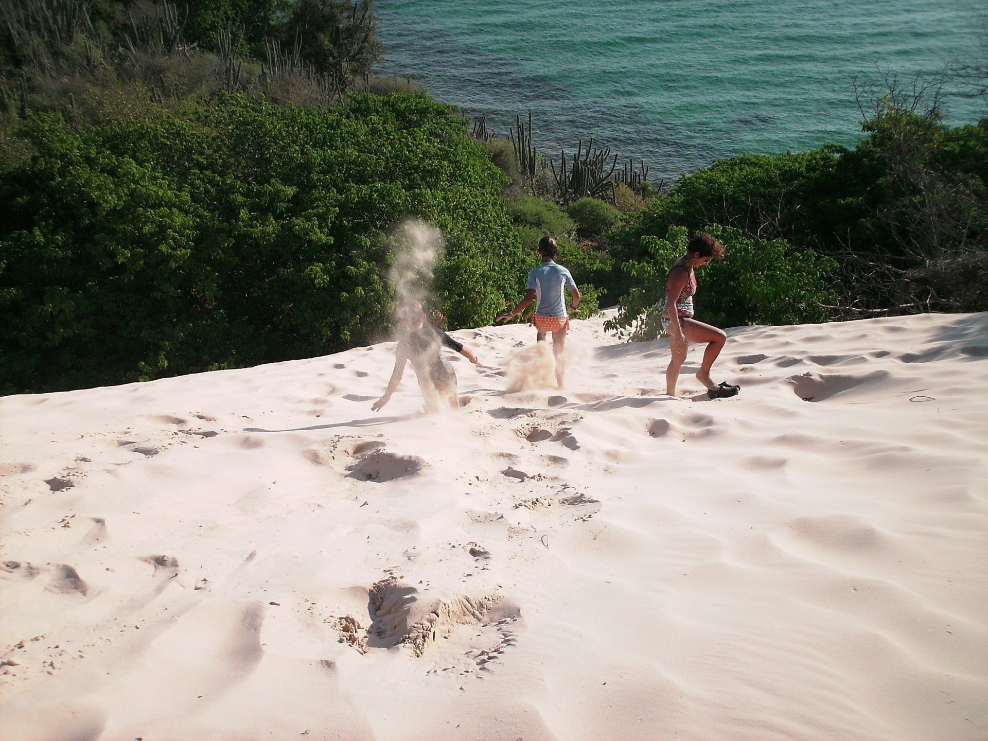 Two people are playing in the sand near the ocean