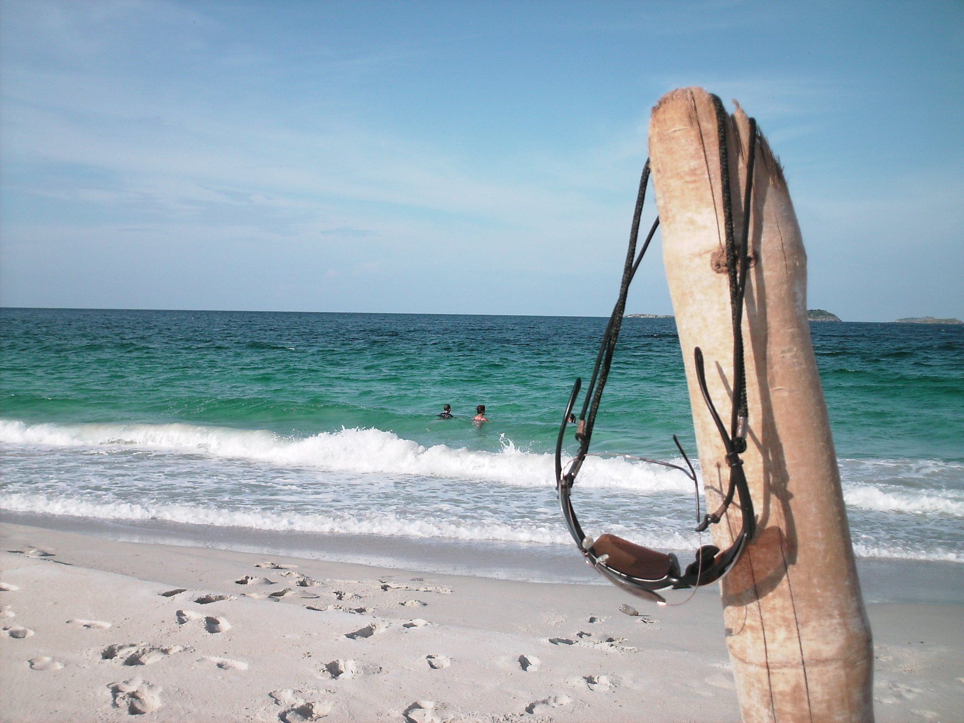 A person is swimming in the ocean behind a wooden post