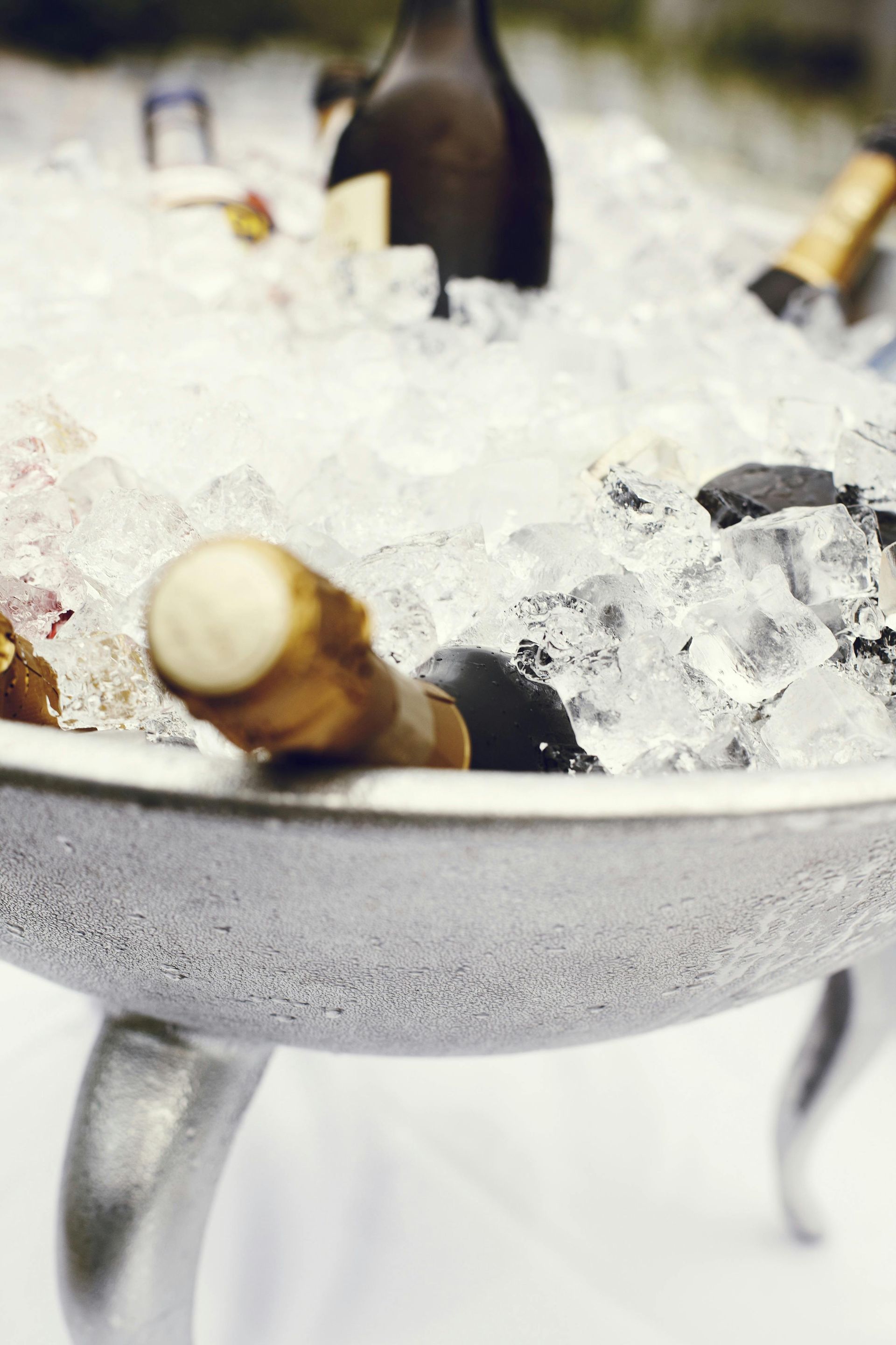 Bottles on ice