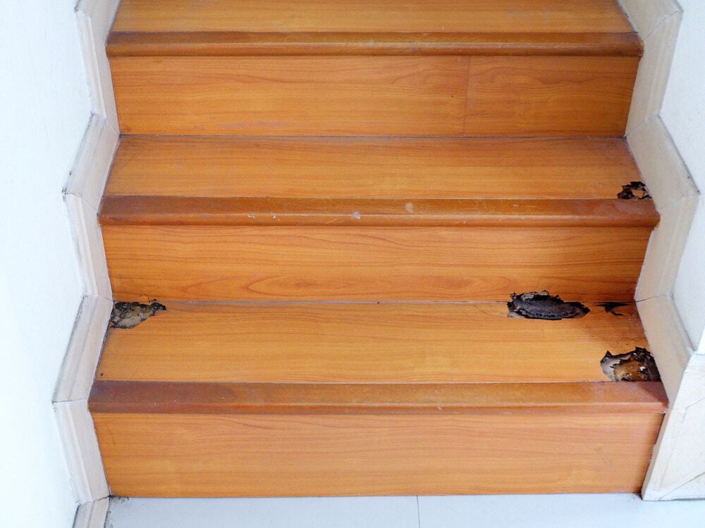 A Close Up of a Wooden Staircase With Termite Damage — Precision Pest Services in Harrington, NSW