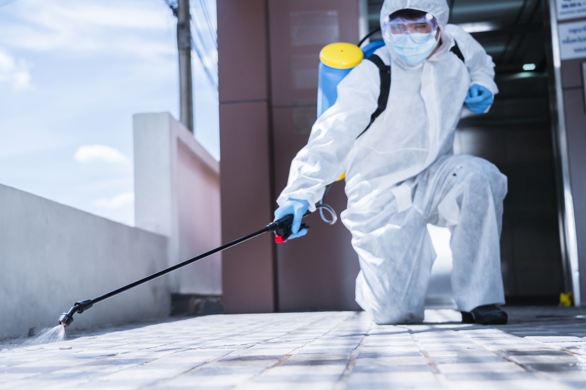 disinfection service for commercial buildings