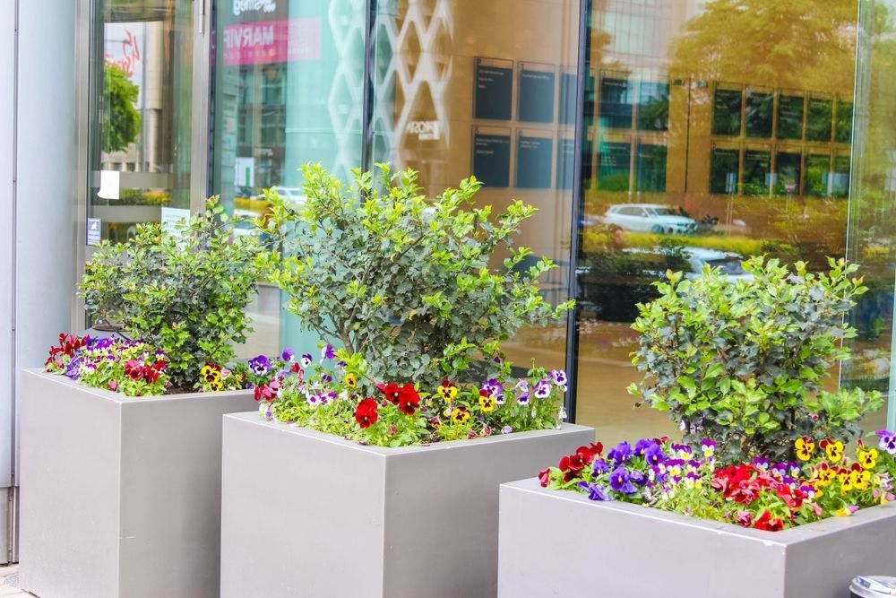 Three square planters with greenery and colorful flowers in front of a building with glass windows.