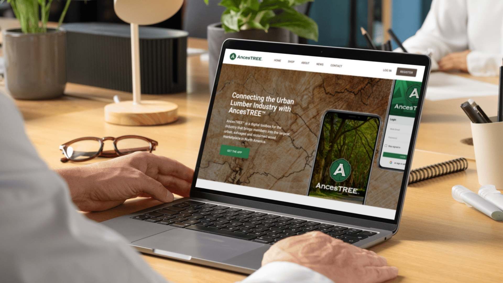 Ancestree, an example of our rapid website development service