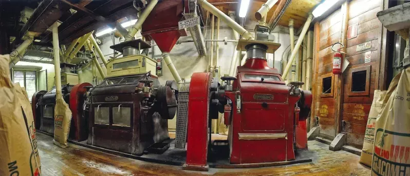 Il molino di Molino Giacomini