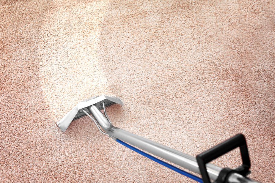A Person is Cleaning a Carpet With a Vacuum Cleaner — Tailored Services in Mackay Harbour, QLD
