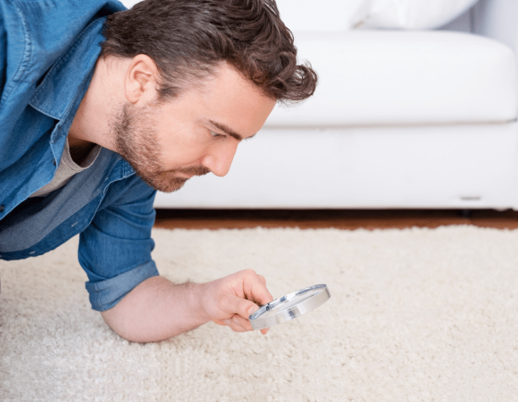 Rug Cleaning for Allergen Control