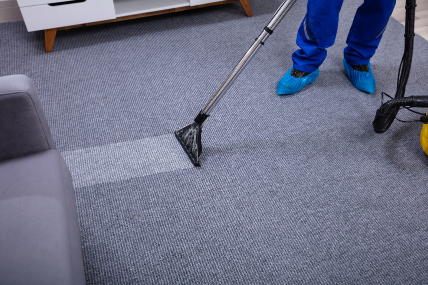 Carpet Cleaning for Allergy Sufferers