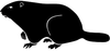 Black silhouette of a beaver on a white background