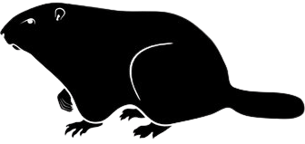 Black silhouette of a beaver on a white background