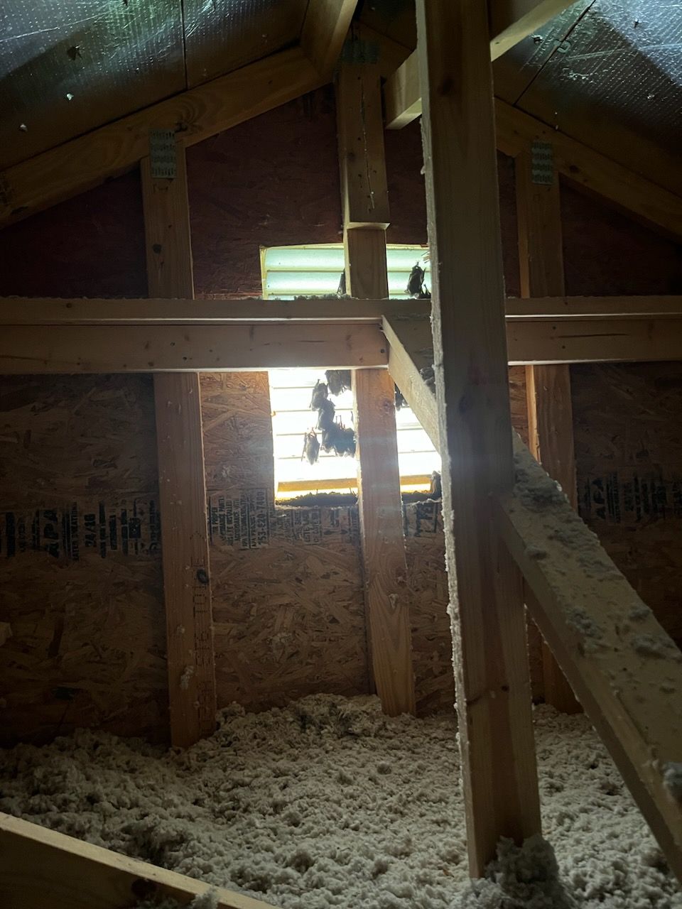 Attic interior with exposed wooden beams, insulation on the floor, and a bright window opening.