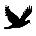 Black silhouette of a flying bird with wings spread