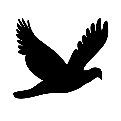 Black silhouette of a flying bird with wings spread