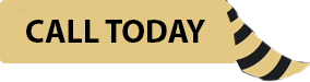 Call today button