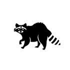 Black raccoon silhouette with striped tail, standing on a white background