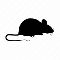 Black silhouette of a mouse in profile with a long tail on a white background