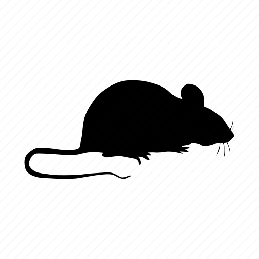 Black silhouette of a mouse in profile with a long tail on a white background