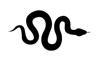 Black snake silhouette in a wavy S-shape on a white background